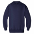 Picture of LW Reid-5310CN-Barak Fleecy Crew Neck Sweat Shirt