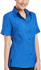 Picture of Corporate Reflection-63030V19-Climate Smart Ladies Easy Fit Short Sleeve shirt