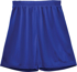 Picture of Winning Spirit Adults Airpass Shorts (SS21)