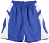 Picture of Winning Spirit Adult Slamdunk Shorts (SS23)