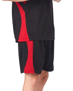 Picture of Winning Spirit Adult Slamdunk Shorts (SS23)