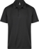 Picture of Aussie Pacific Mens Botany Polo (1307)