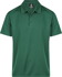 Picture of Aussie Pacific Mens Botany Polo (1307)