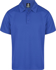 Picture of Aussie Pacific Mens Botany Polo (1307)