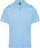 Picture of Aussie Pacific Mens Botany Polo (1307)