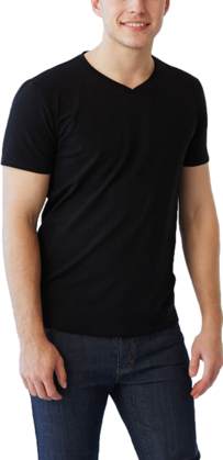 Picture of Biz Collection Mens Viva Short Sleeve T-Shirt (T403M)