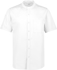 Picture of Biz Collection Mens Salsa Short Sleeve Chef Shirt (CH329MS)