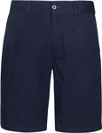 Picture of Biz Collection Mens Lawson Shorts (BS021M)
