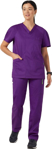 Picture of NNT Uniforms Unisex Next-Gen Antibacterial Active Carl Scrub Top - Purple (CATRFV-PUR)