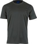 Picture of Winning Spirit Unisex Cool Tee Shirt (TS23)