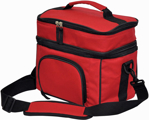 Picture of Winning Spirit Travel Cooler Lunch / Picnic Bag (B6002)