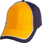 Picture of Winning Spirit Arena Two Tone Cap (CH78)