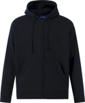 Picture of Winning Spirit Mens Double Bay Hoodie (FL03)