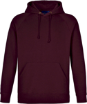 Picture of Winning Spirit Mens Warm Hug Fleece Hoodie (FL07)