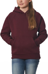 Picture of Winning Spirit Kids Warm Hug Fleece Hoodie (FL07K)