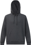 Picture of Winning Spirit Unisex Passion Fleece Hoodie (FL09)