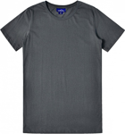 Picture of Winning Spirit Mens Premium Cotton Tee Shirt (TS41)