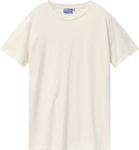 Picture of Winning Spirit Mens Premium Cotton Tee Shirt (TS41)