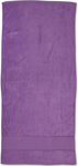 Picture of Winning Spirit Terry Velour Beach Towel (TW04A)