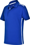 Picture of Winning Spirit Kids Staten Polo Shirt (PS83K)
