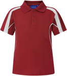 Picture of Winning Spirit Mens Legend Polo (PS53)