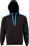 Picture of Winning Spirit Adult Unisex Croxton Hoodie (FL19)