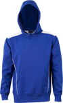 Picture of Winning Spirit Kids Croxton Hoodie (FL19K)