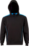 Picture of Winning Spirit Kids Croxton Hoodie (FL19K)