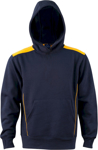 Picture of Winning Spirit Kids Croxton Hoodie (FL19K)