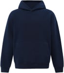 Picture of Winning Spirit Unisex Premium Fleece Oversized Hoodie (FL10)