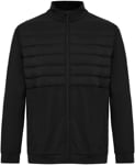 Picture of Sporte Leisure Mens 1/2 Puff Jacket (SCORMO001)