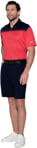 Picture of Sporte Leisure Mens Edge Polo (SCORMT011)